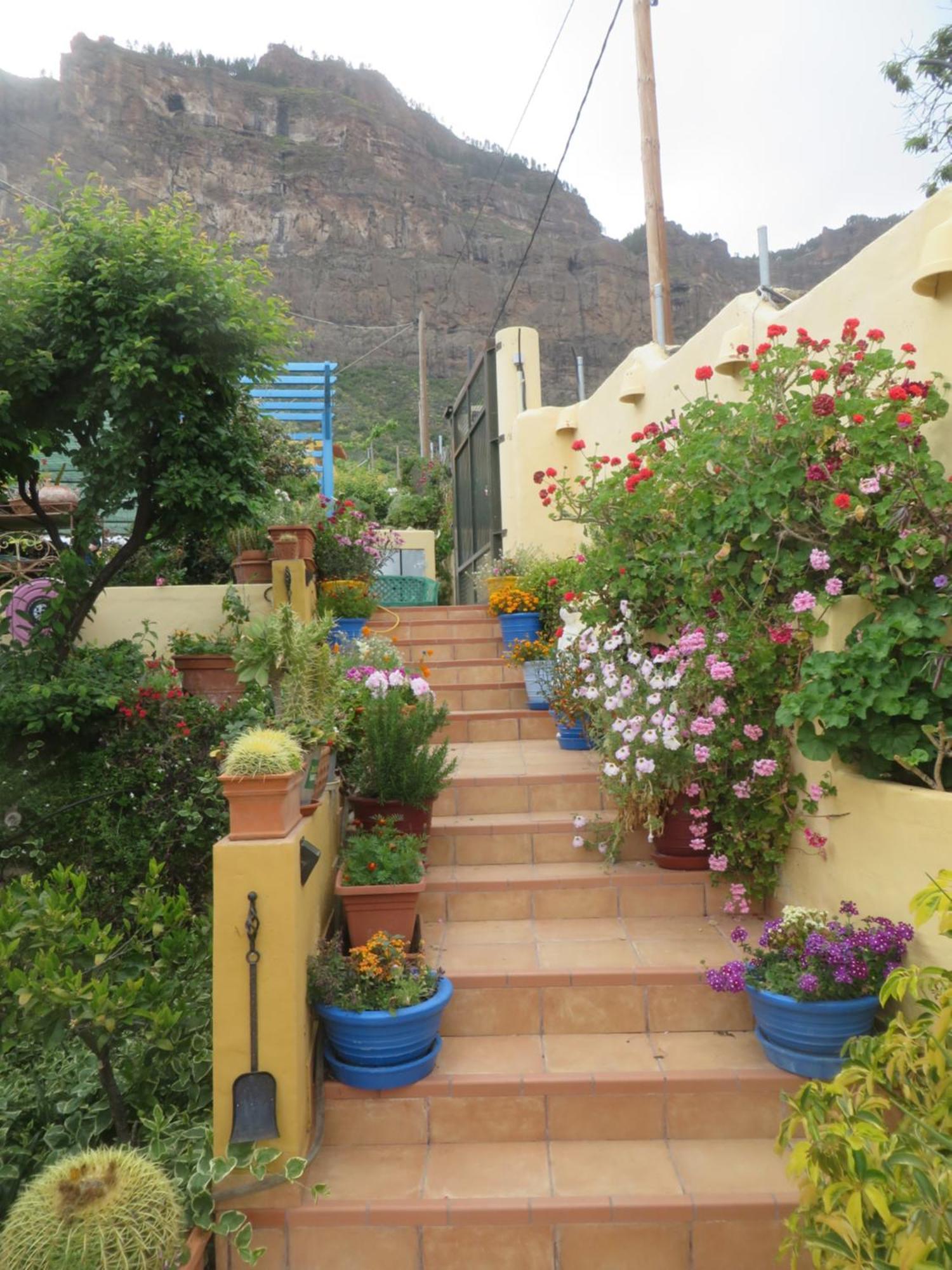 Finca Cortez Apartment 4 San Bartolomé Eksteriør billede